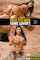digital playground, big tits, young, brunette, tits