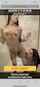 lesbian, shower, brazzers, survey, dildo