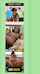 brazzers, ebony, jordi scoundrel, double pen