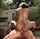 mother, tattoo, anal, squeezing, outdoor