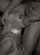 lorelei lee, eyes, rimjob, slave, leash