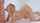 doggy, blonde, blowjob, doggystyle, vixen