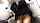 jav, japanese, train, old man, uniform