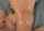 oiled, anal, tear