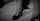 bdsm, blindfold, gentleman, kneeling