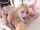 missionary, pov, pmv, black hair, outside