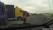 #813519 image