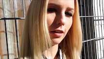 lucy cat in answer #2024874